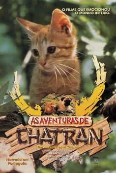 The Adventures Of Chatran