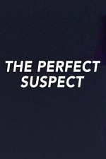The Perfect Suspect: Season 1