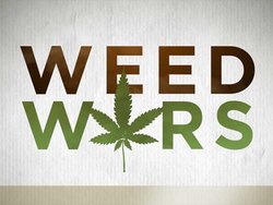 Weed Wars: Season 1