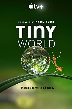 Tiny World: Season 2