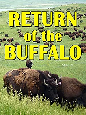 The Return Of The Buffalo: Restoring The Great American Prairie