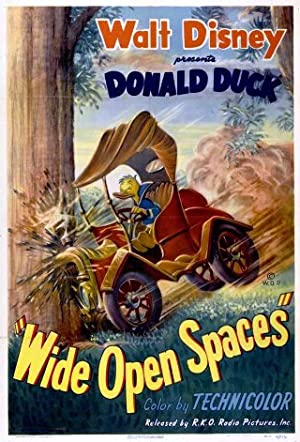 Wide Open Spaces 1947