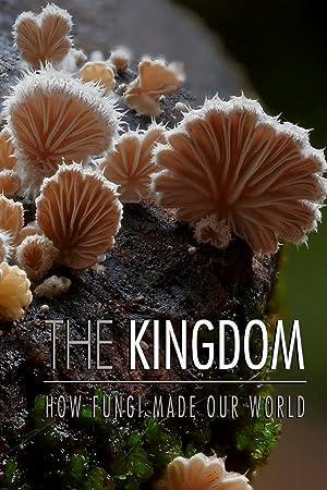 The Nature Of Things The Kingdom: How Fungi Made Our World