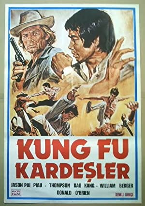 Kung Fu Brothers In The Wild West