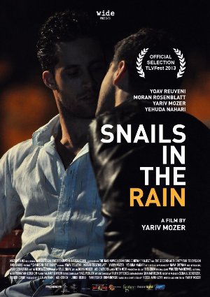 Snails In The Rain