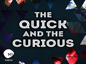 The Quick And The Curious: Season 1
