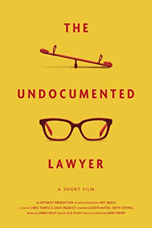 The Undocumented Lawyer