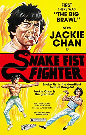 Snake Fist Fighter 1973