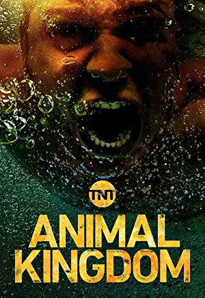 Animal Kingdom: Season 3