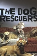 The Dog Rescuers: Season 4