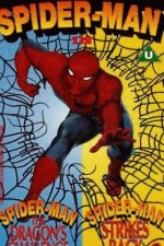 Spider-man: The Dragon's Challenge
