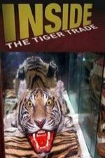 Inside: The Tiger Trade