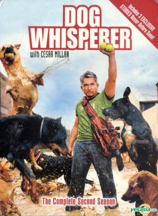 Dog Whisperer With Cesar Millan: Season 1
